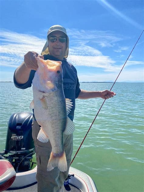 Qu Campeonatos Nacionales De Pesca Deportiva Habr Este En M Xico