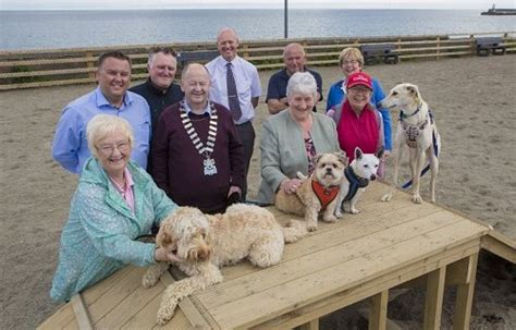 The Greystones Guide Wicklow Town Gets Its Dog Park