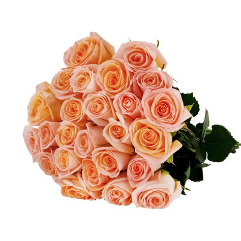 Tiffany Peach Roses The Rosarium Premium Flower Delivery Vaughan