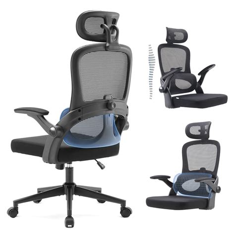 Buy SIHOO M102C Ergonomic Mesh Office Chair High Back Desk Chair With