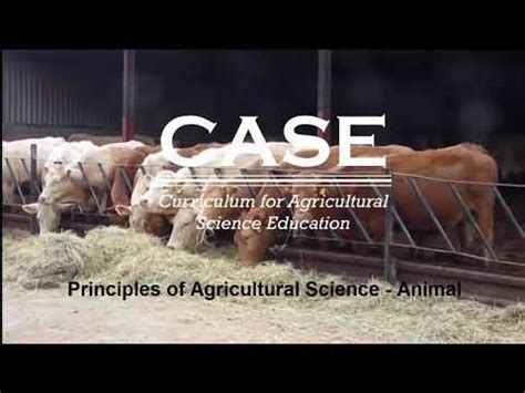 Asa Livestock Breeding Systems Youtube