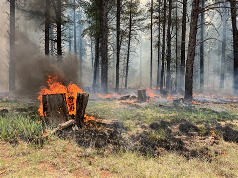 Fire Crews Plan 4 500 Acre Prescribed Burn Near Flagstaff