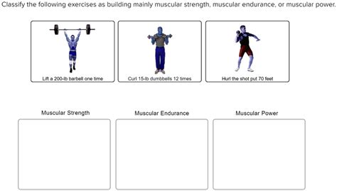 Solved Classify The Following Exercises As Building Mainly Muscular