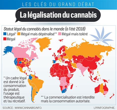 Grand débat et si on légalisait le cannabis Le Parisien