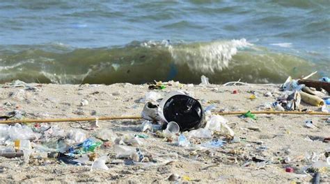 Más Del 80 De Los Residuos Encontrados En Las Playas Bonaerenses Son