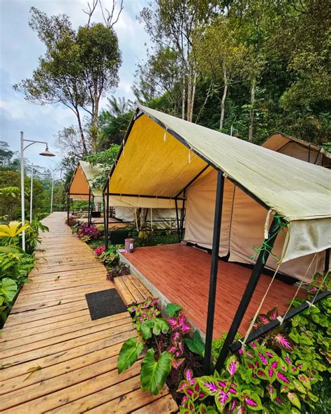 Pesona Glamping Bukit Menoreh Penginapan Di Kulon Progo