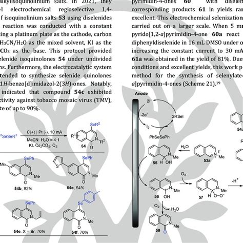 Scheme Mechanism Of Electrochemical Selenium Catalyzed N