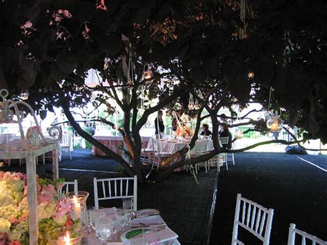 custom-installation-tent-and-floor-built-around-tree | Loane Bros., Inc.