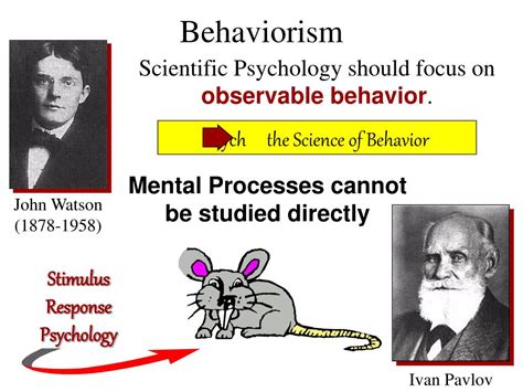 Ppt Introduction To Psychology Powerpoint Presentation Free Download