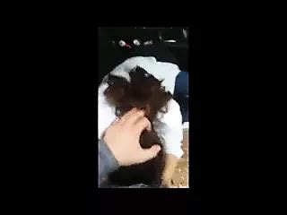 Aytug Melda 09 06 2016 Turkish Outdoor Amateur Porn XHamster