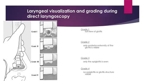 Presented By Nadeen Hadidi Ppt Download