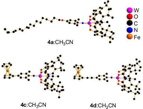 Figure 1 From Functionalized Metallated Cavitands Via Imidation And Late Stage Elaboration