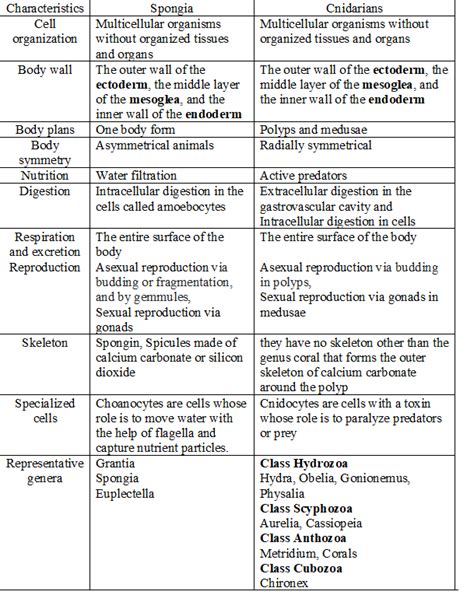 Prepare A Simple Table Of All Of The Taxonomic Groups Their Quizlet