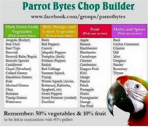 African Grey Diet Sheet