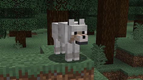 All Minecraft Wolf Variants And Where To Find Them