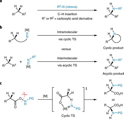 Stereocontrolled nitrene C sp³ H insertions for the synthesis of