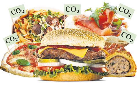 Co2 Emissions Calculator – VET LOVES FOOD – VET Loves FOOD