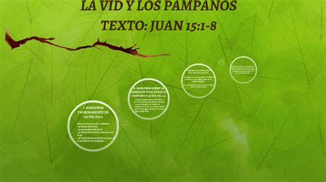 La Vid Y Los P Mpanos By Paulina Lopez On Prezi