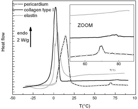 Differential Scanning Calorimetry Dsc Thermograms Of Bovine