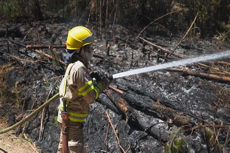 Colombia Pierde Más De 17 Mil Hectáreas De Vegetación Por Incendios