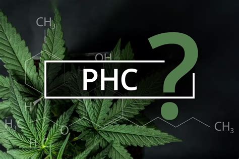 PHC: Potential Uses and Benefits | Burning Daily