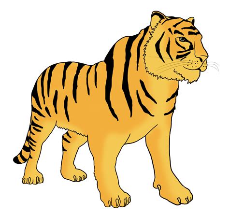 Tiger Clipart