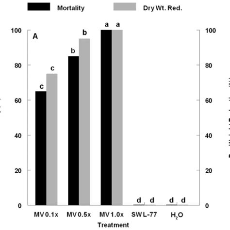 Effect Of Myrothecium Verrucaria Mycelial Concentration On Mortality