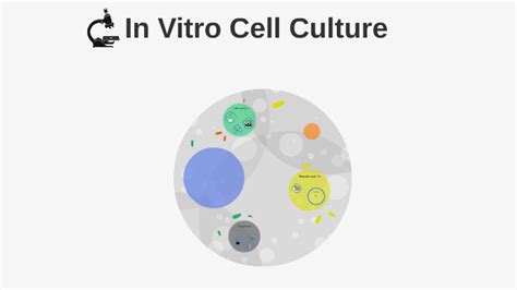 In Vitro Cell Culture by Katie Noble on Prezi