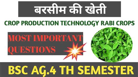 बरसम क खत crop production technology rabi crops BSC AG 4 TH