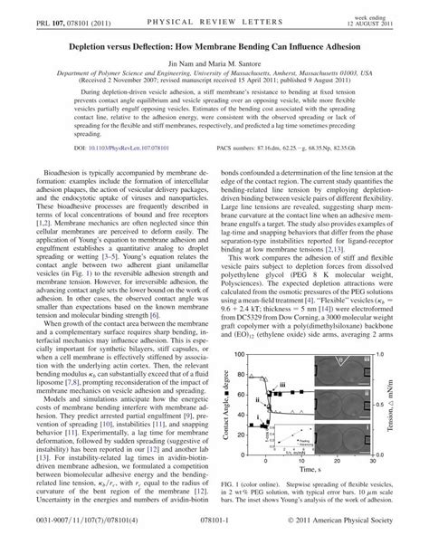 PDF Depletion Versus Deflection How Membrane Bending Can Influence