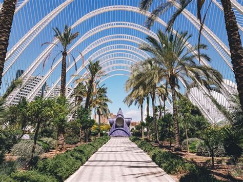 Fun Things To Do In Valencia Spain From Food To Culture