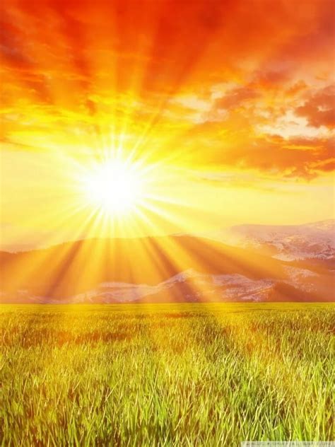 Солнечный день (Елена Панкратова 3) / Стихи.ру