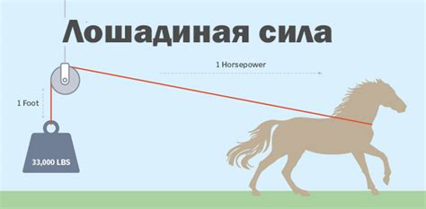 Лошадиные силы - почему ими измеряют мощность? | Обзоры