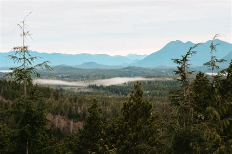 17 Incredible Tofino Hiking Trails: A Hiker's Guide to Tofino, Ucluelet ...