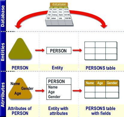 Define Entities, Attributes (ERD Model)