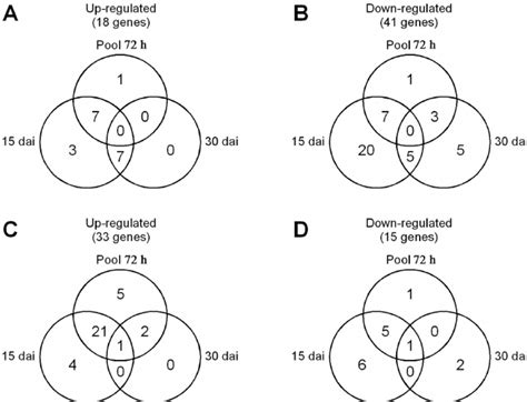 Venn diagram showing the distribution of the differentially expressed ...