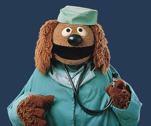 Dr. Bob | Muppet Wiki | Fandom