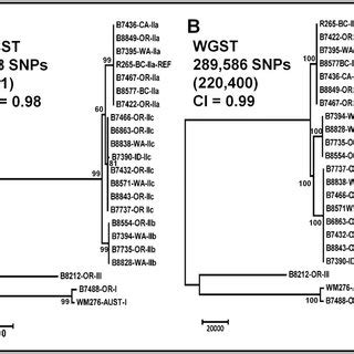 Phylogenetic Analysis Comparison Of Mlst And Wgst Data From C