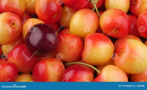 La Frescura De Las Deliciosas Cerezas Amarillas Maduras Foto De