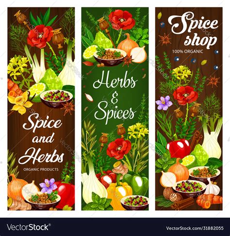 Spice Herb And Seasoning Food Condiment Banners Vector Image