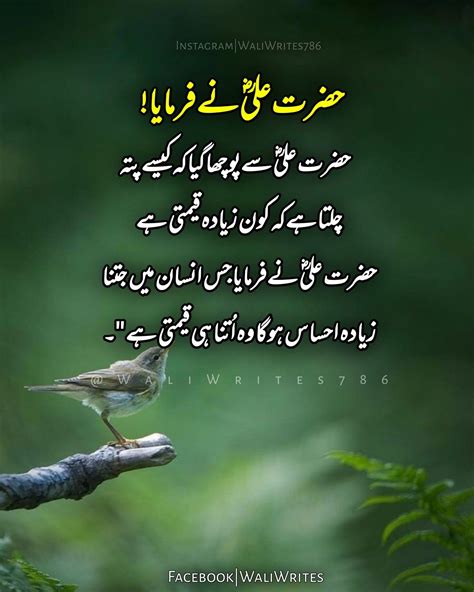 Hazrat Ali Ra Ke Aqwal ♥️ Beautiful Quotes About Allah Wonder