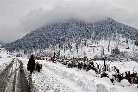 MeT Forecasts Widespread Snow Rain Spell In J K Ladakh From Jan 4 6