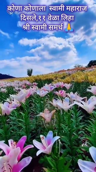 कोणा कोणाला स्वामी महाराज दिसले ११ वेळा श्री स्वामी समर्थ लिहा ‌विसरू