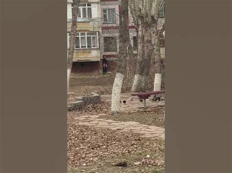 Дрочун Астана донорский центр Youtube