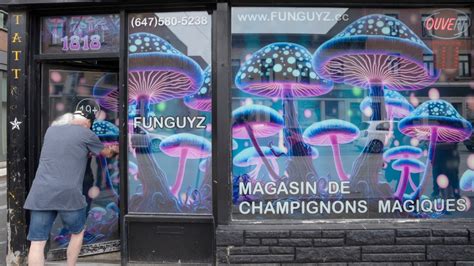 Montreal Magic Mushroom Dispensary Owners Vow To Reopen Ctv News