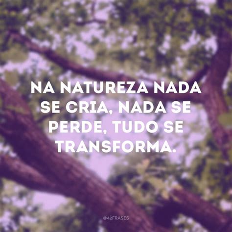 Frases Sobre a Natureza