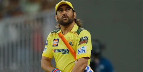 CSK CEO ‘very, very hopeful’ of Dhoni playing IPL 2025 – ShallyApps.com