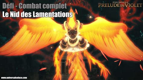 Final Fantasy XIV 4 4 Défi Combat complet Le Nid des Lamentations