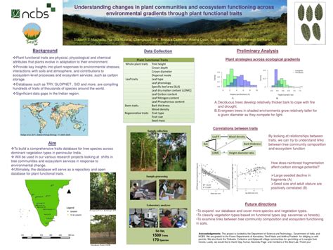 understanding   plant communities  ecosystem