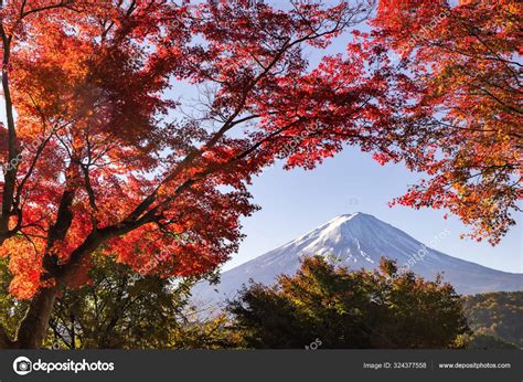 Fuji Mountain And Red Maple Leaves In Autumn At Kawaguchiko Lake Stock